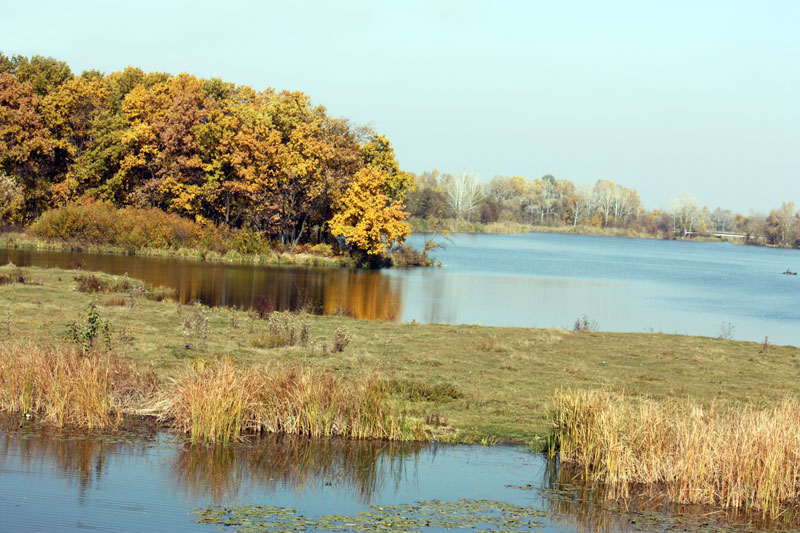 Коломак_у_Макуховки