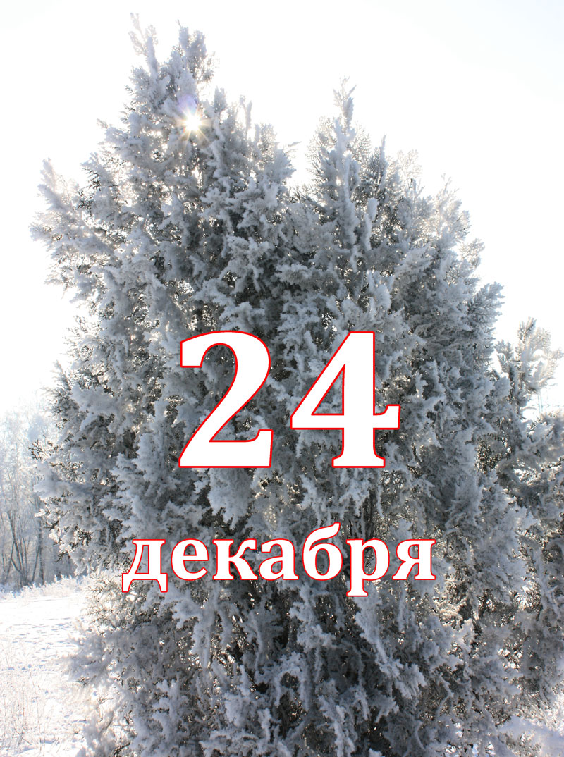 24-декабря