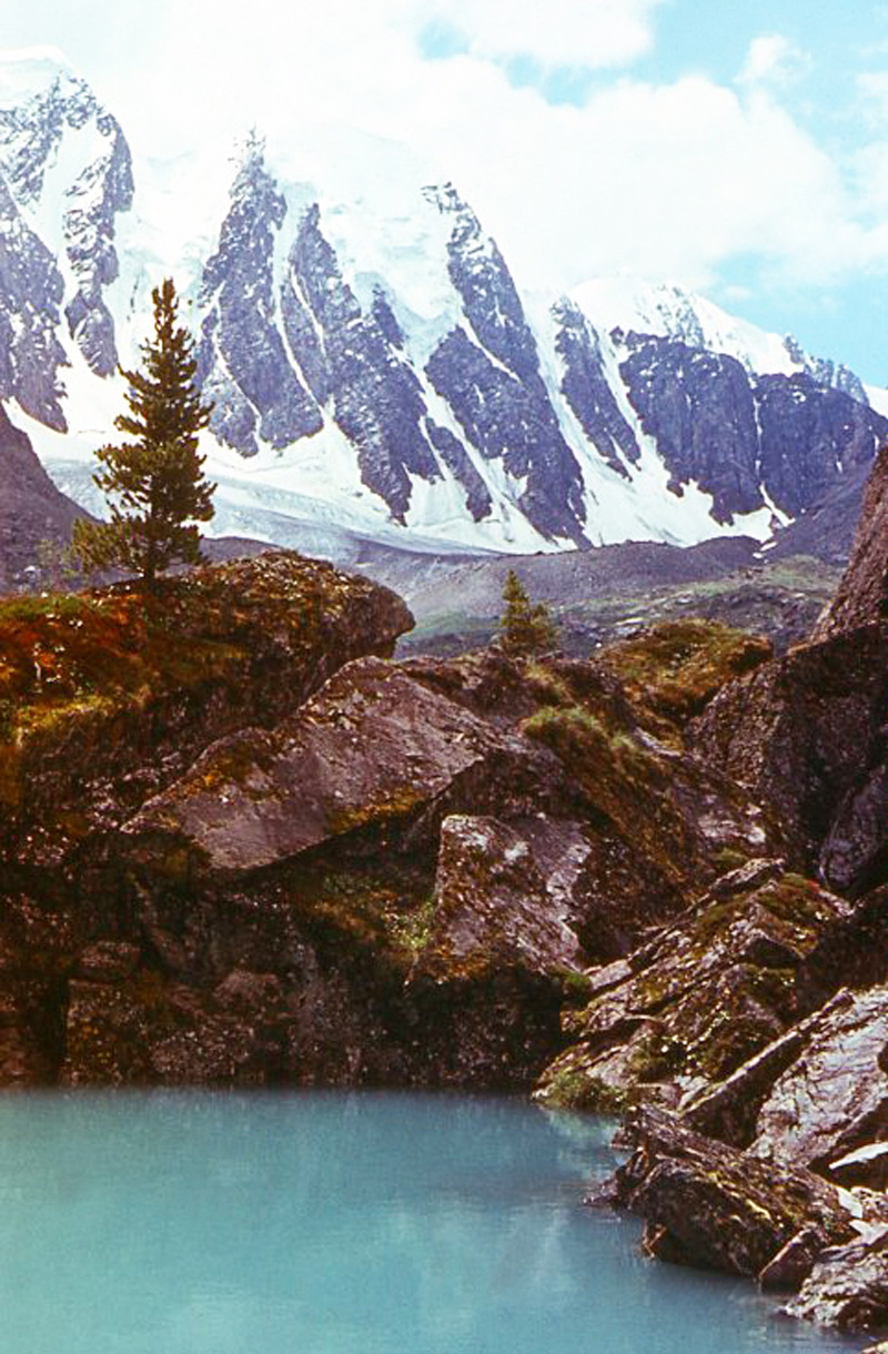 Алтай_731