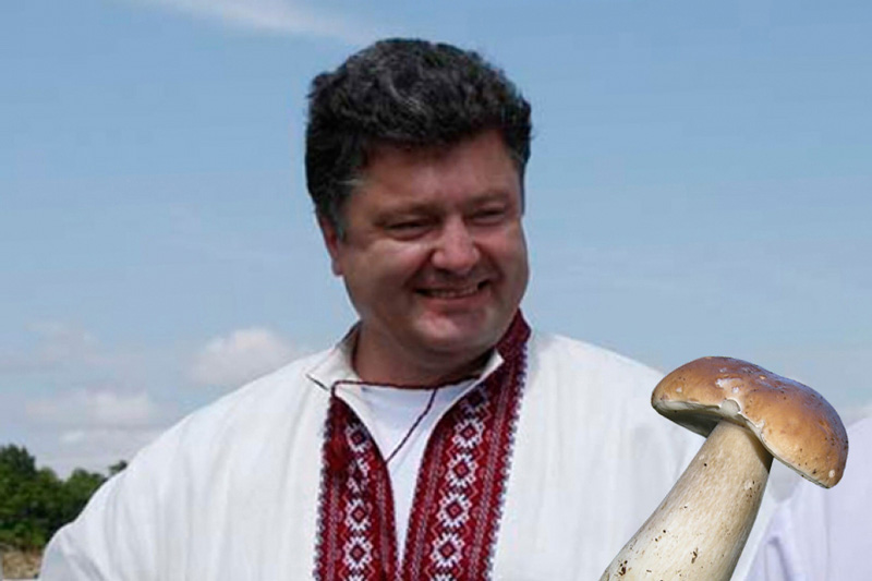 Порошенко_и_грибы