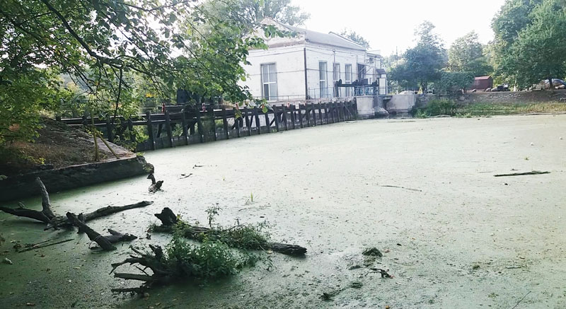 plotina-kuncevo-zarosli