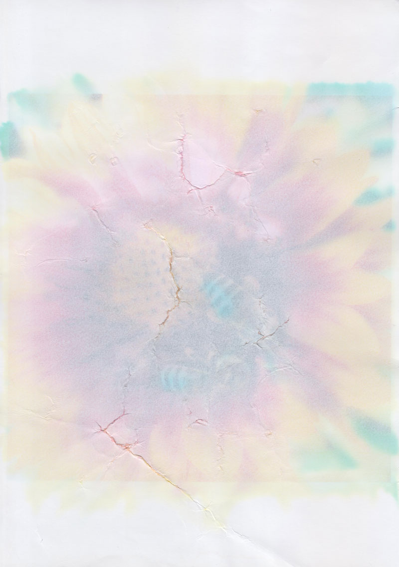 test-bumagi-12-001