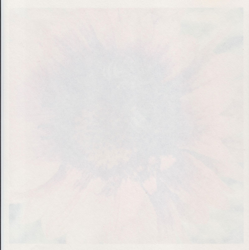 test-bumagi-61-001