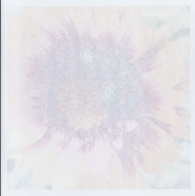 test-bumagi-71-001