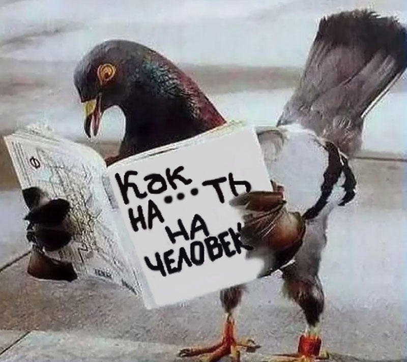 kak-nakakat-na-cheloveka