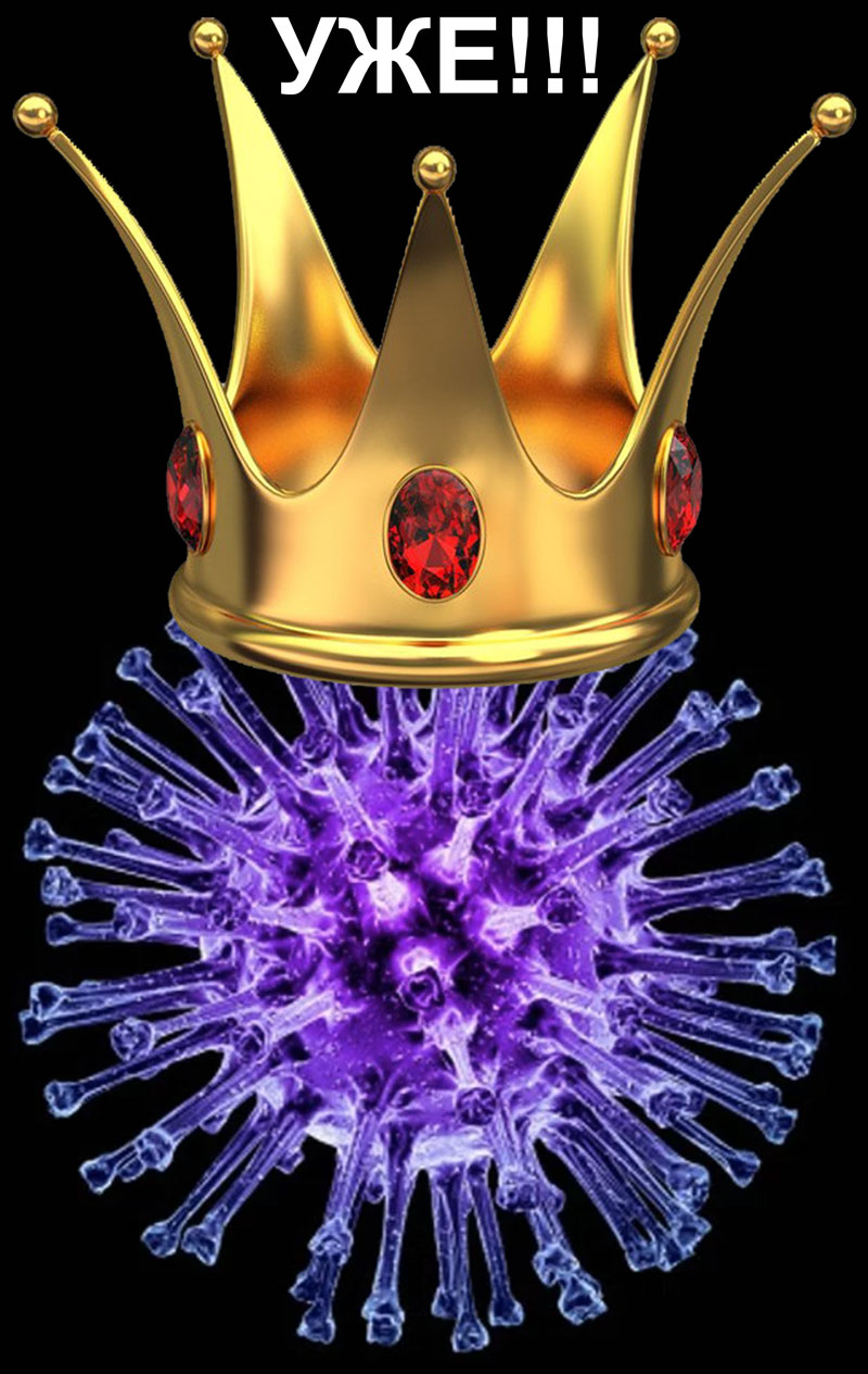 koronavirus-kovi-19