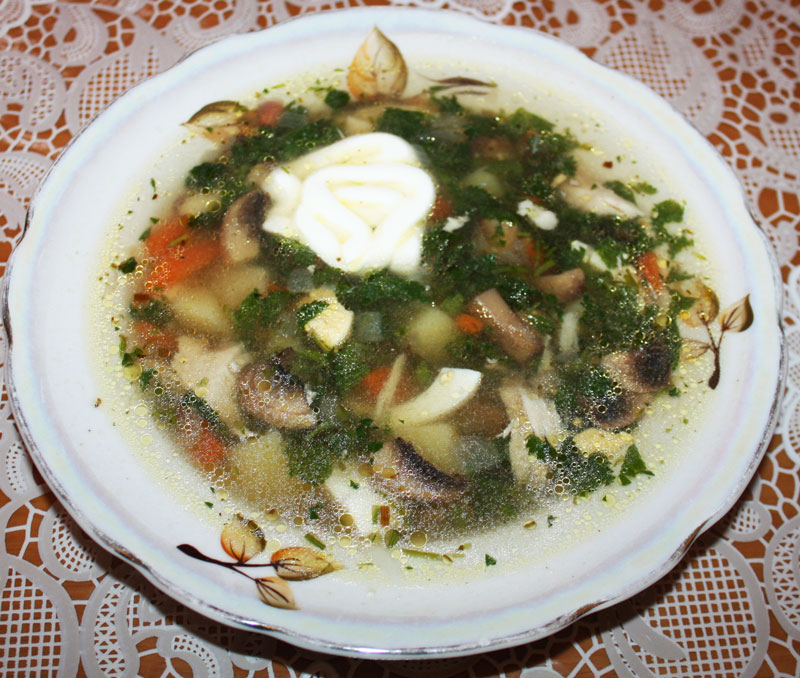 zeleniy-sup-s-krapivoy