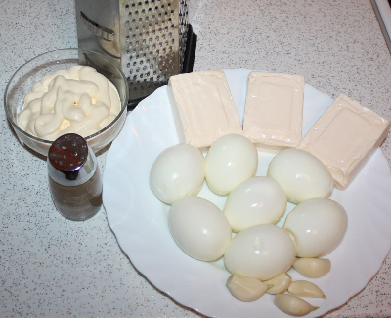 cesnocnica-ingredienty