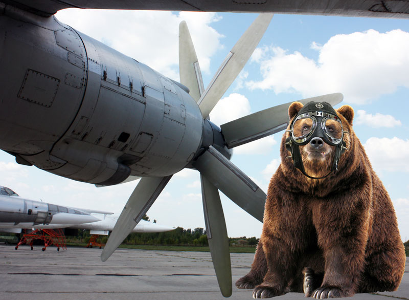 bear-tu-95