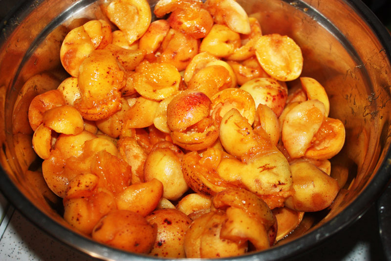 abrikosi