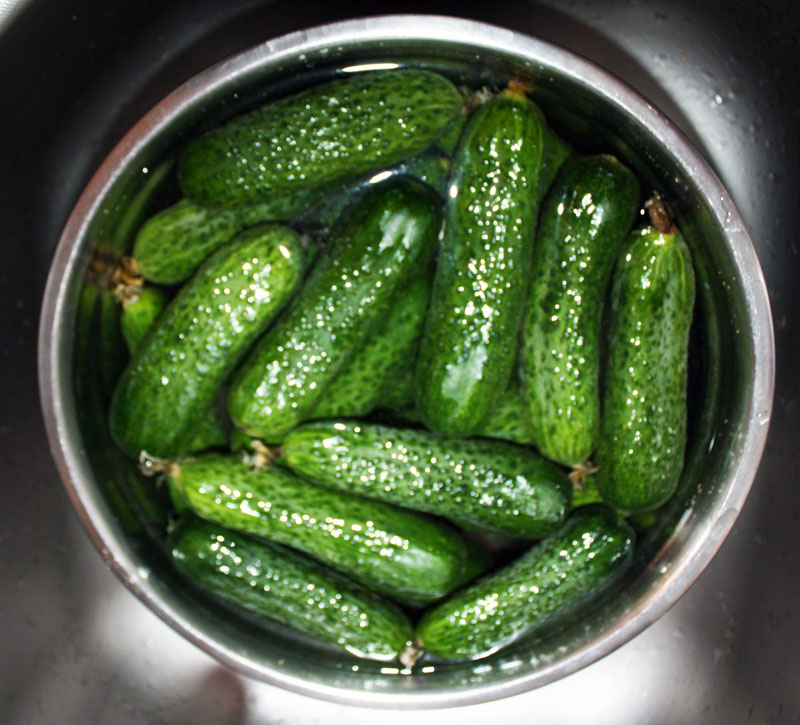 ogurtsi-nujno-pomit