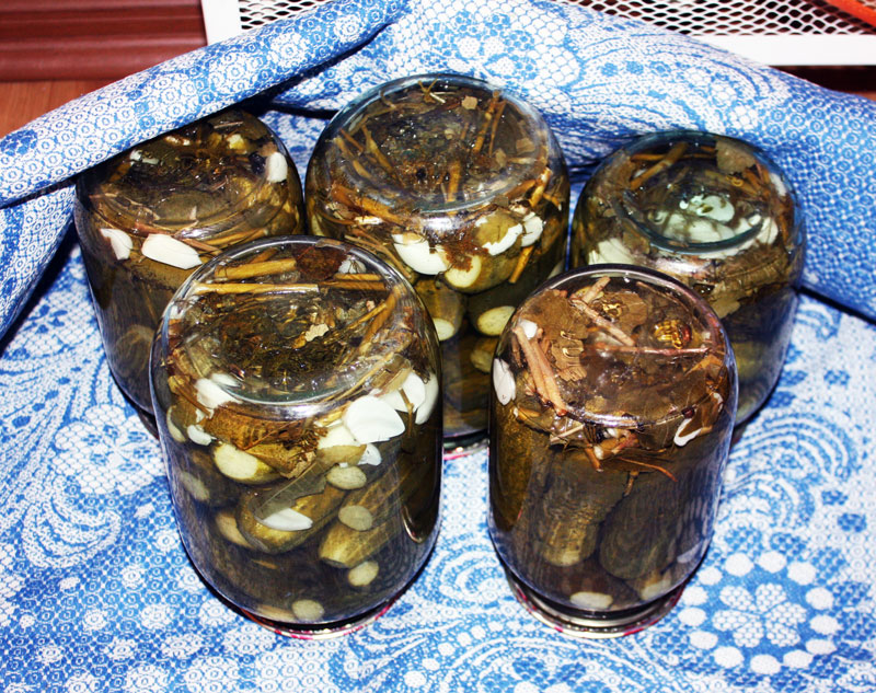 ogurtsi-perevernut