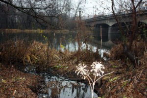 Впадение вонючки в Ворсклу