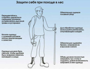 Защита от комаров