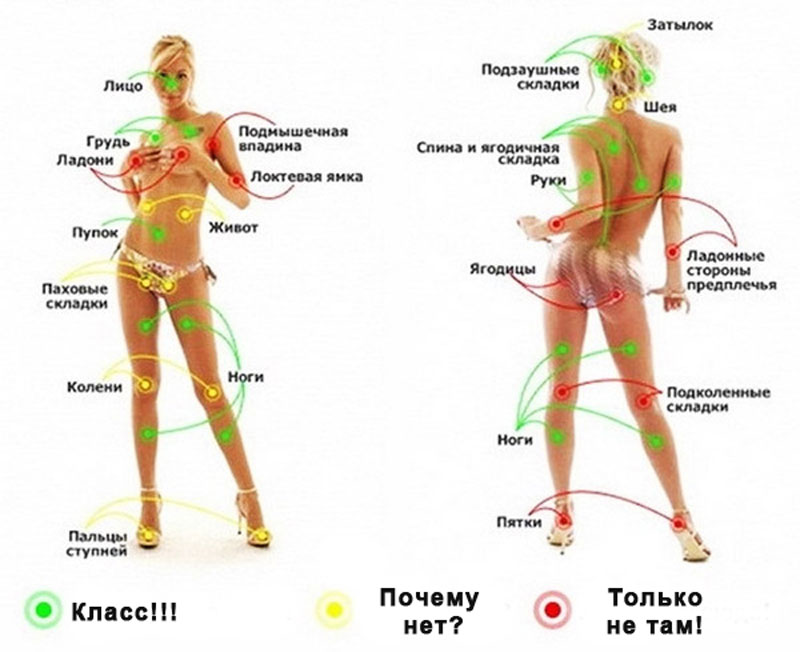 Эрогенные зоны женщины