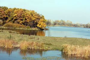 Коломак_у_Макуховки