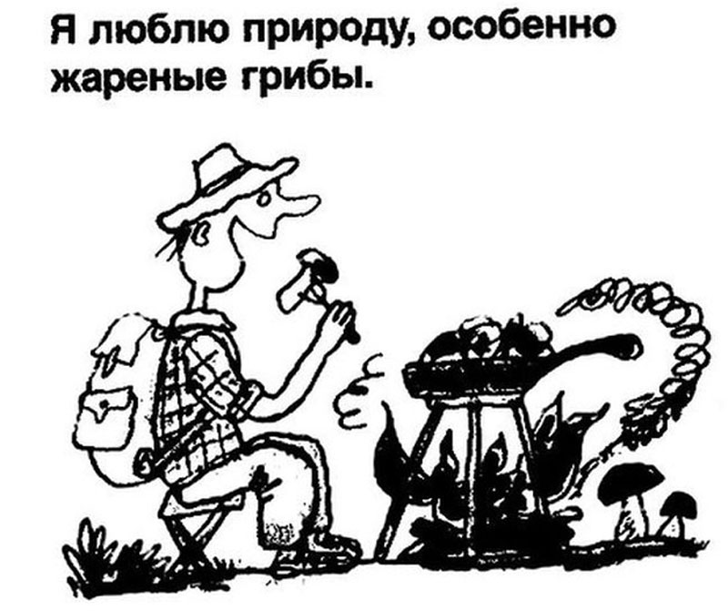 Люблю_природу_особенно_грибы