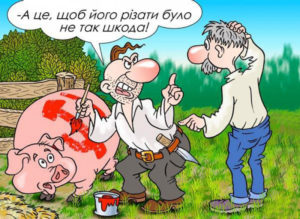 Анекдоты про хохлов и москалей