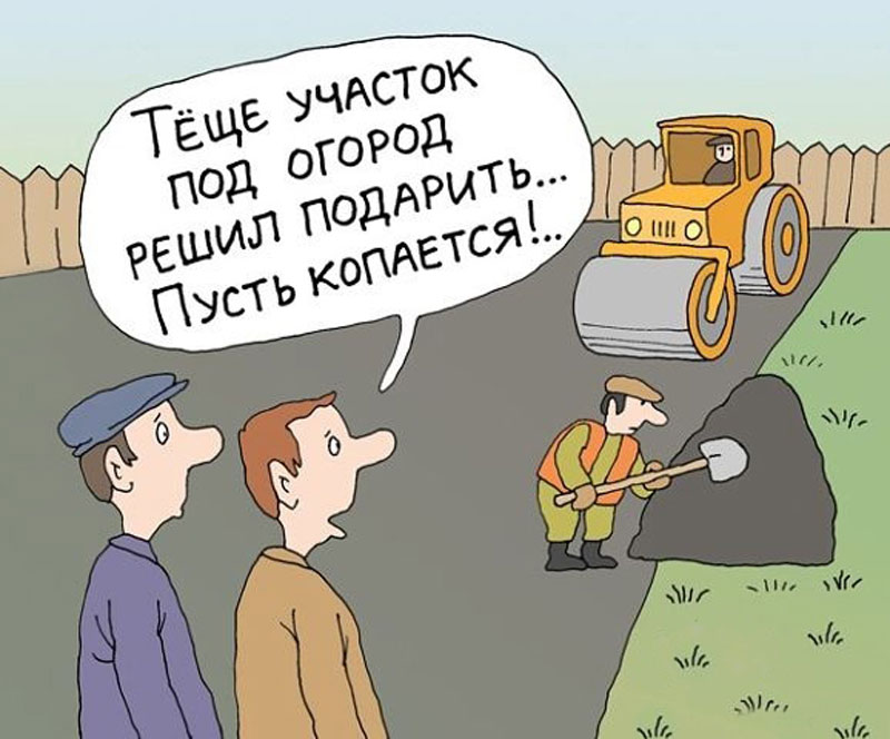 Теще_подарок_сделал_карикатура