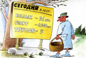 Червивые_грибы