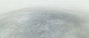 Пронозовка-горизонт