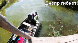 dnepr-gibnet-1