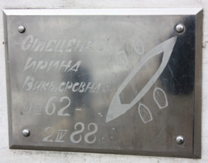 Ирина_Стеценко