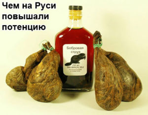 bobrovaya-struya-1