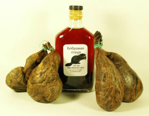 bobrovaya-struya