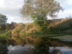 brakonyeri-na-vorskle