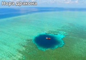 nora-drakona-1