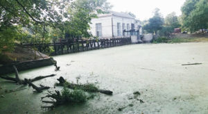 plotina-kuncevo-zarosli