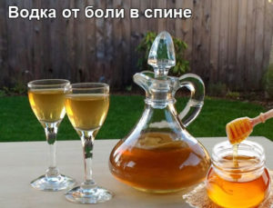 vodka-s-medom-1