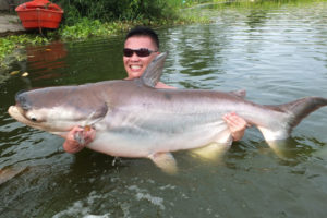 pangasius