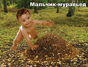 maltchik-muravied-1