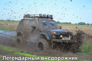 НИВА_экстрим-1