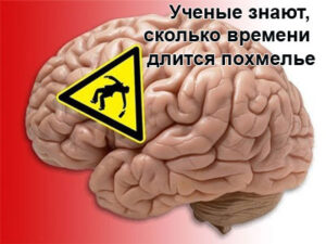 mozg-i-alkogol-1