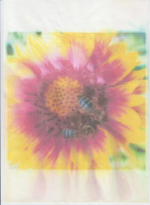 test-bumagi-13-001