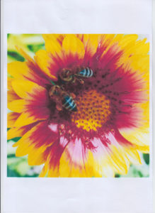 test-bumagi-15-001
