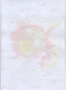 test-bumagi-16-001