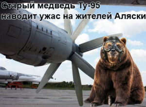 bear-tu-95-1