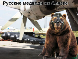 russkie-medvedi-1