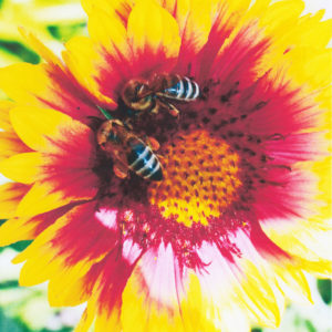 test-bumagi-11-001