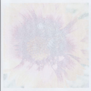 test-bumagi-71-001