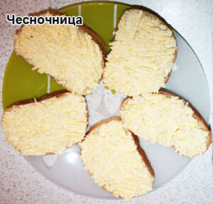 cesnocnica-1-1
