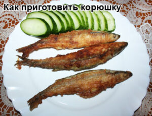 jarenaya-korushka-1