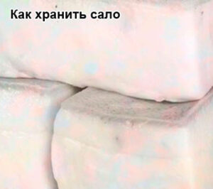 kak-hranit-salo