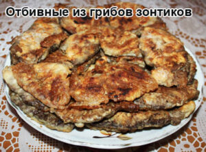otbivnie-iz-zontikov