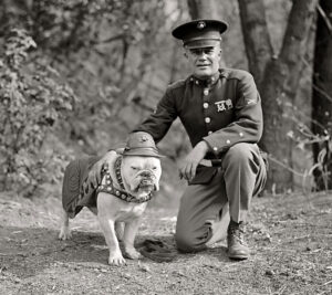 sgt-jiggs-s-pehotincem