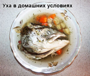 uha-iz-lososya-1